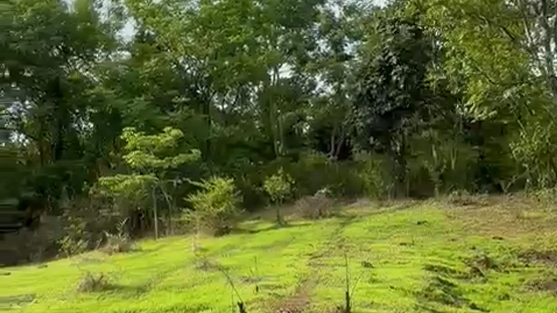 5 Acre Agricultural Land for Sale Near Piccadilly Resort, Karjat