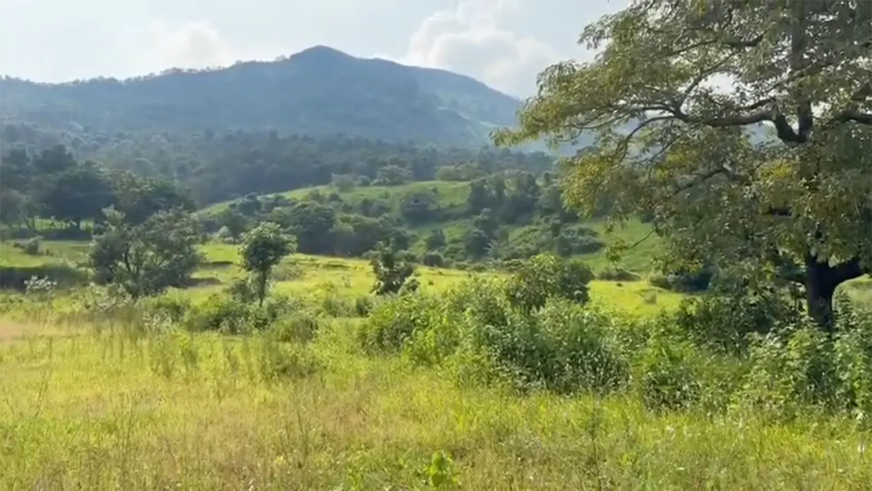 16 Acre N.A. Property for Sale in Karjat – Khopoli-Karjat Road