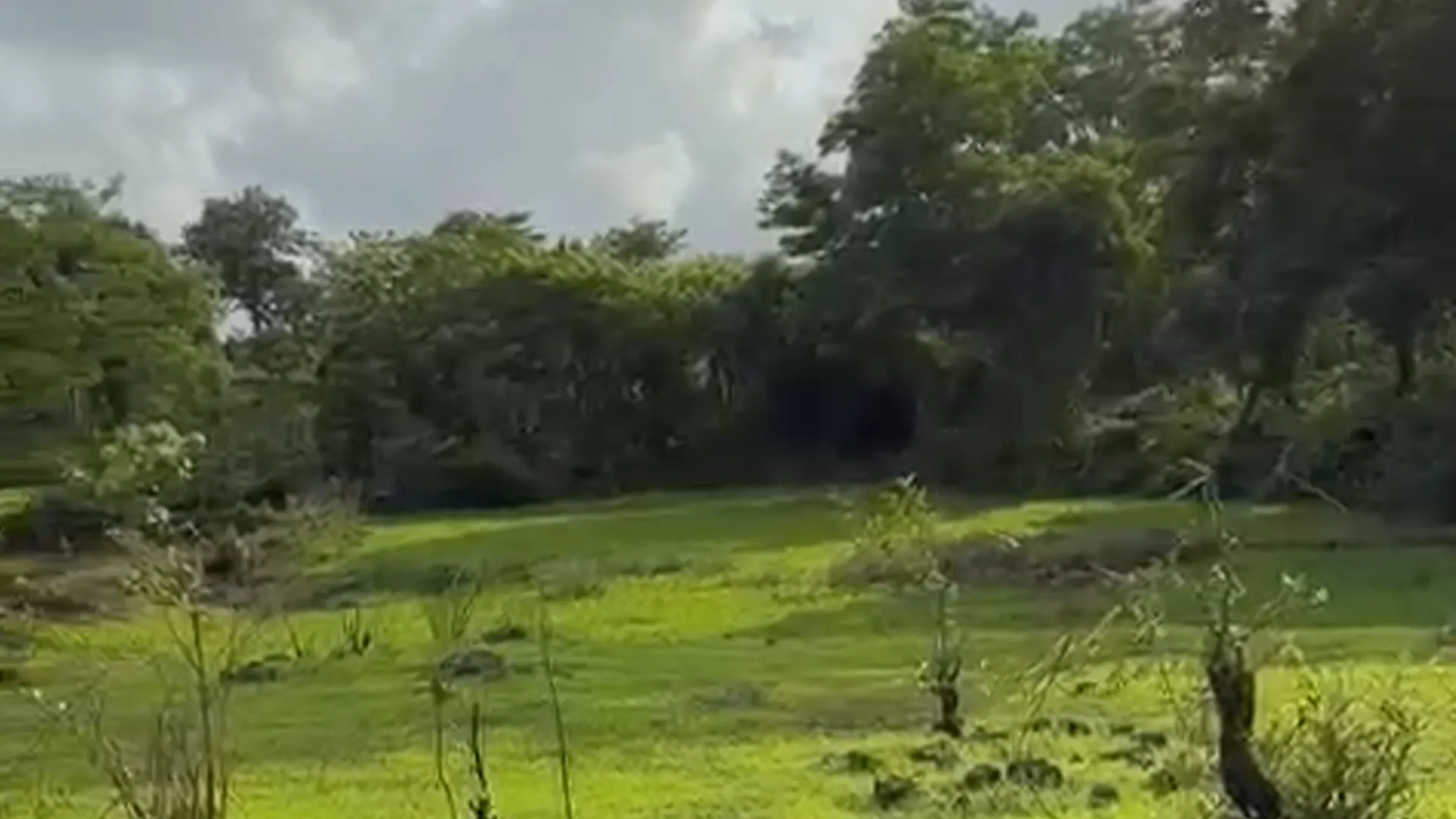 5 Acre Agricultural Land for Sale Near Piccadilly Resort, Karjat