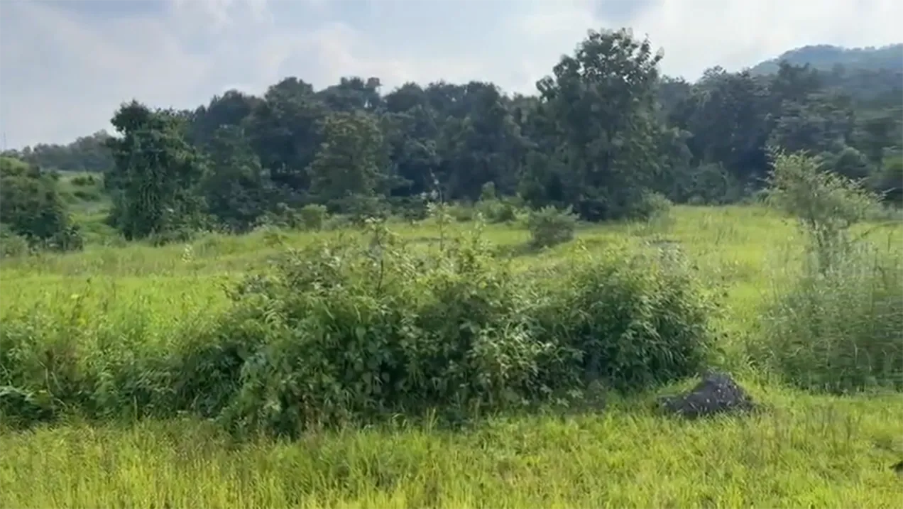 16 Acre N.A. Property for Sale in Karjat – Khopoli-Karjat Road