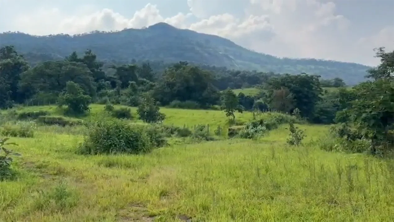 16 Acre N.A. Property for Sale in Karjat – Khopoli-Karjat Road