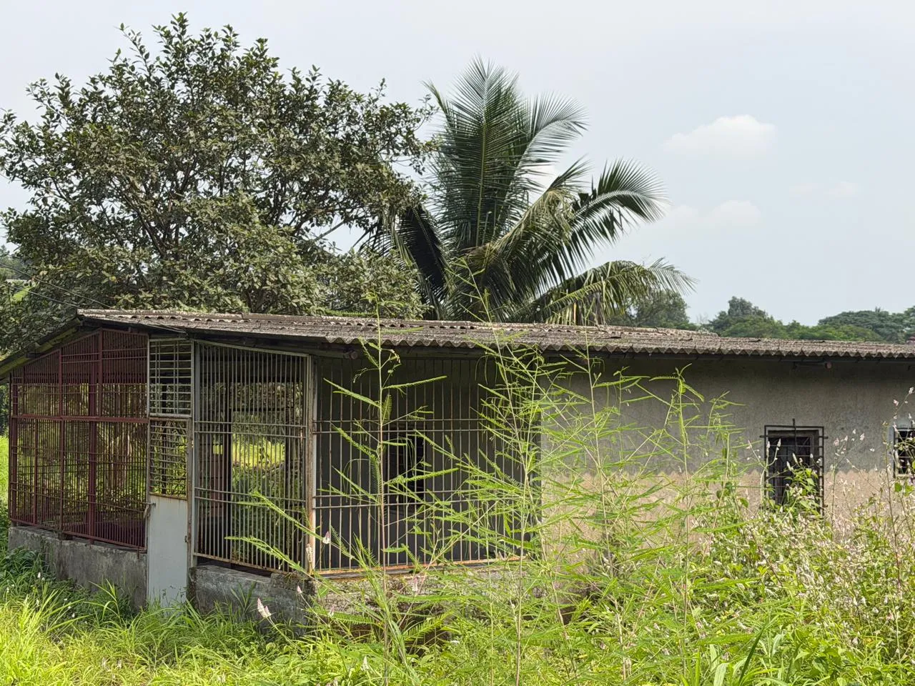 70 Guntha Agricultural Land for Sale Near ND Studio, Karjat