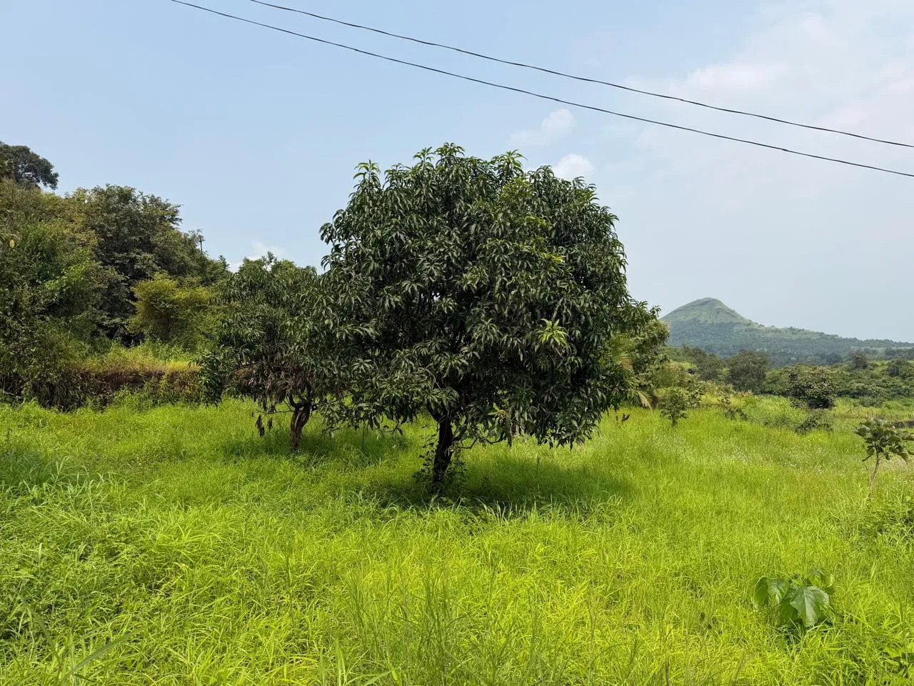 70 Guntha Agricultural Land for Sale Near ND Studio, Karjat