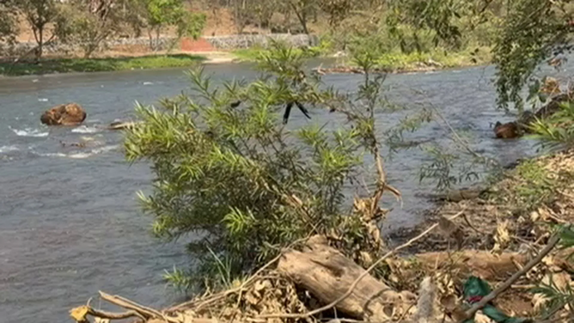 30 Guntha NA River-Touch Land