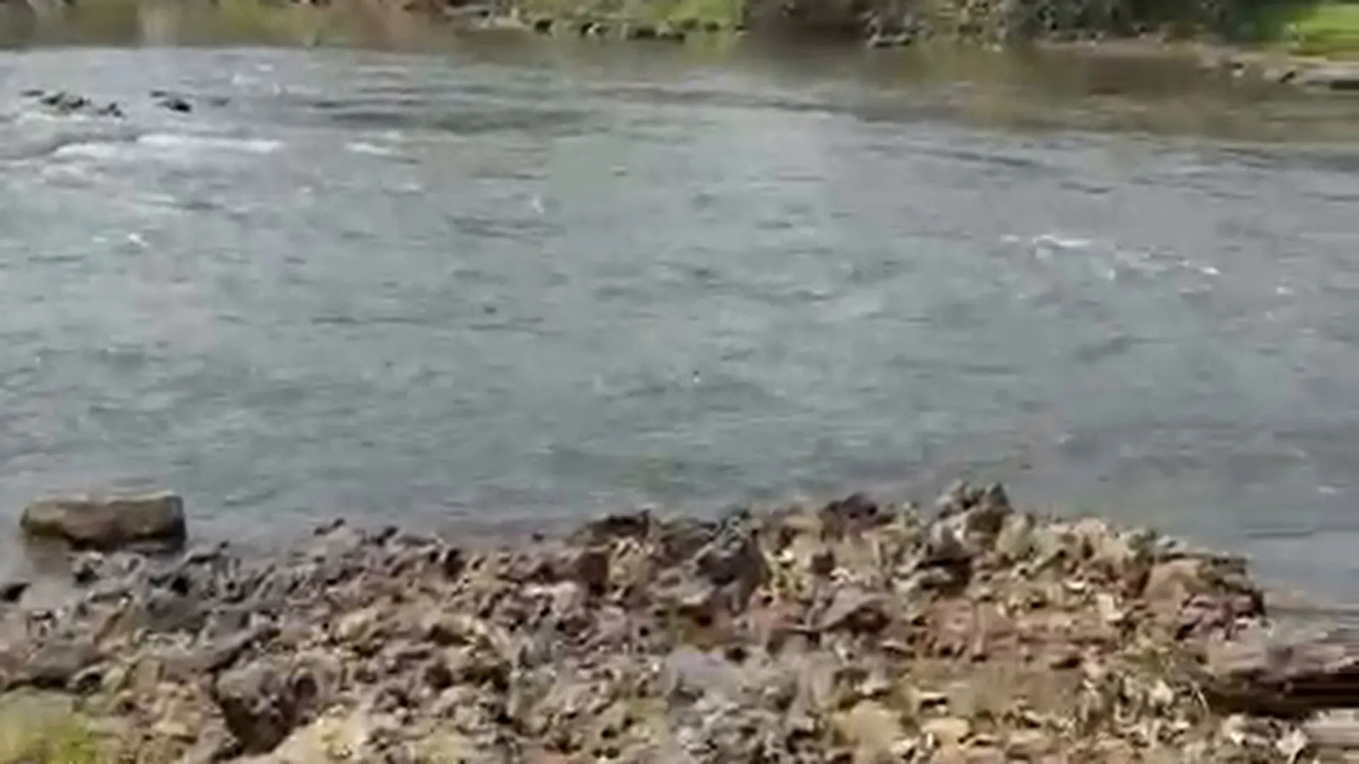 30 Guntha NA River-Touch Land