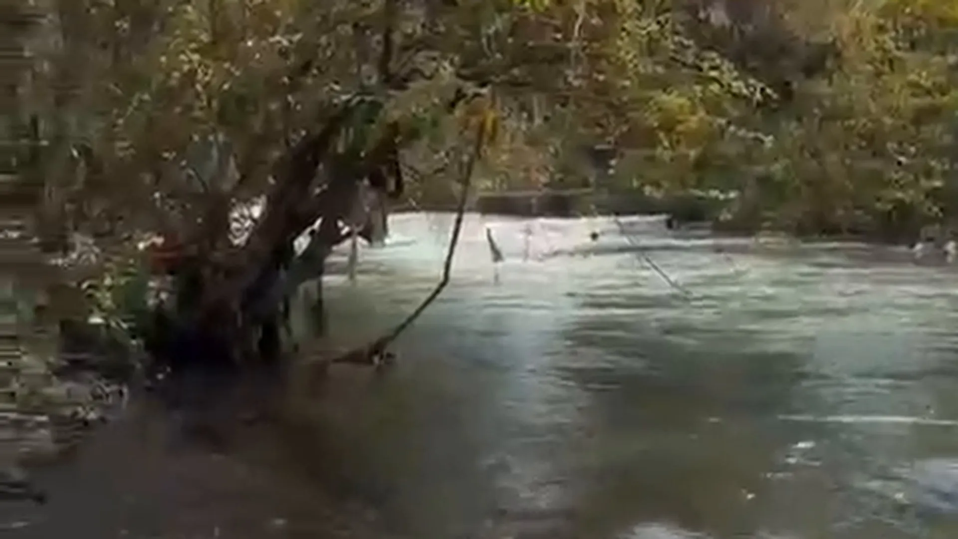 30 Guntha NA River-Touch Land