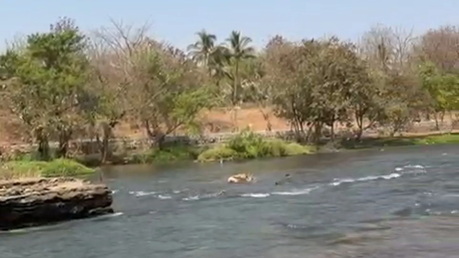 30 Guntha NA River-Touch Land