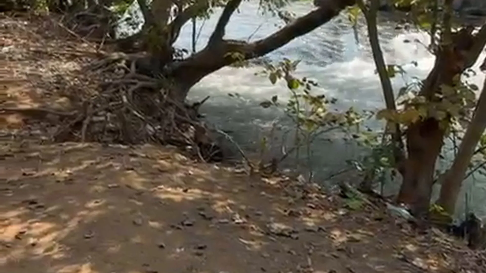 30 Guntha NA River-Touch Land