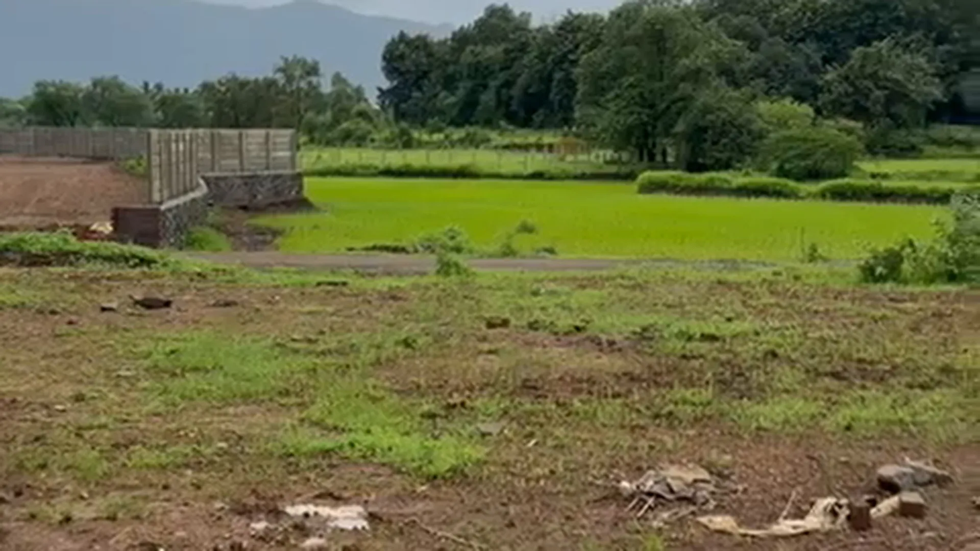 3 Acre Agricultural Land