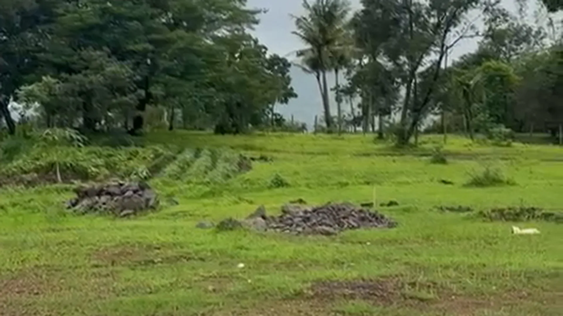 3 Acre Agricultural Land