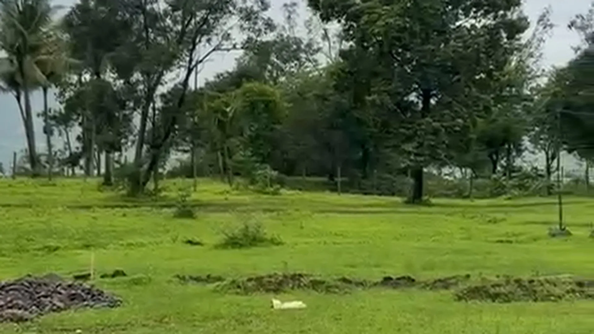 3 Acre Agricultural Land