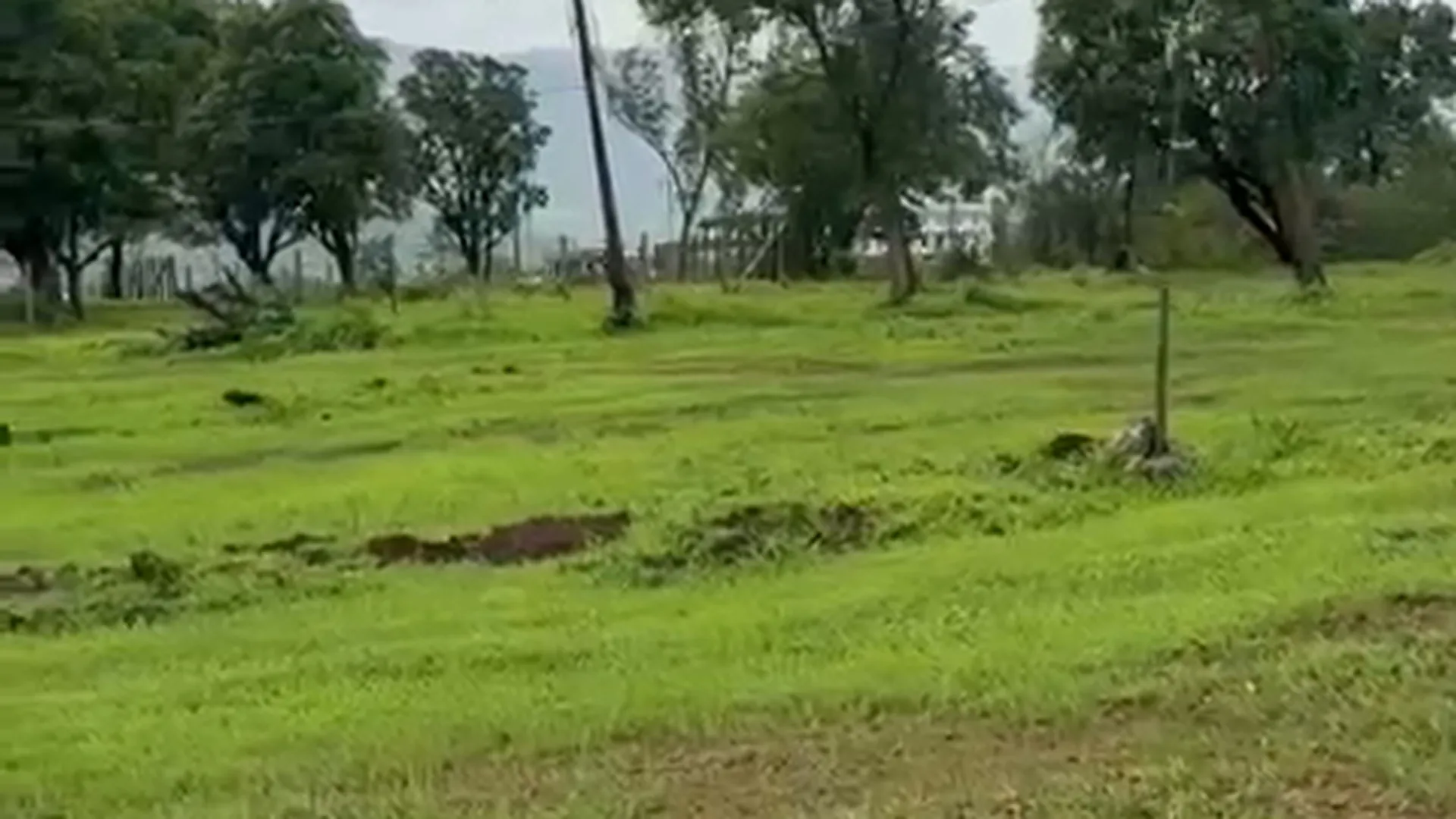 3 Acre Agricultural Land