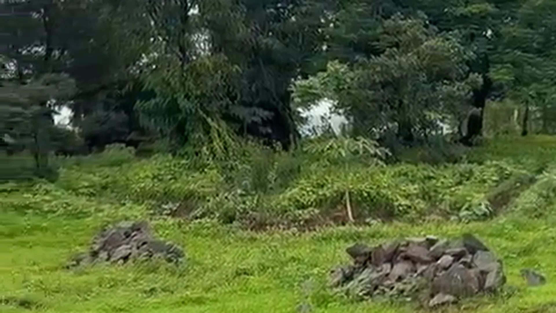 3 Acre Agricultural Land