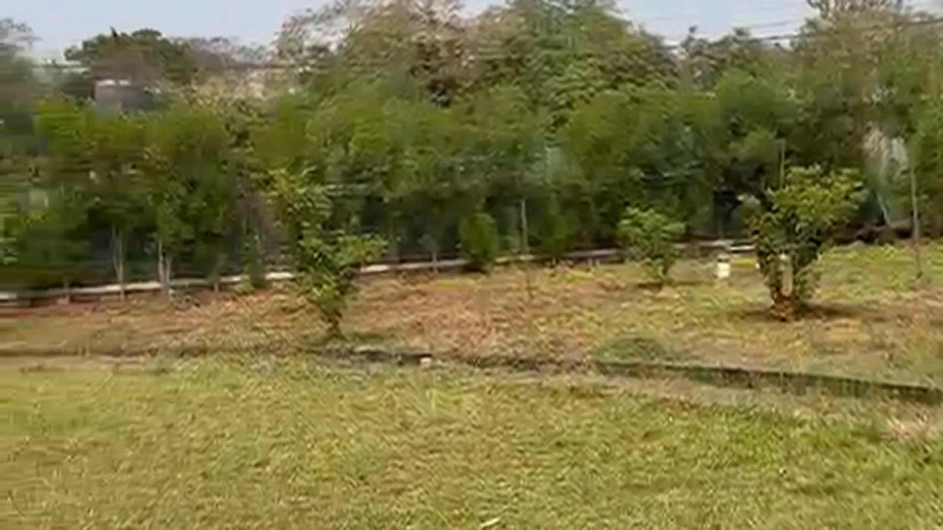 3BHK Bungalow, Swim Pool, 22 Guntha