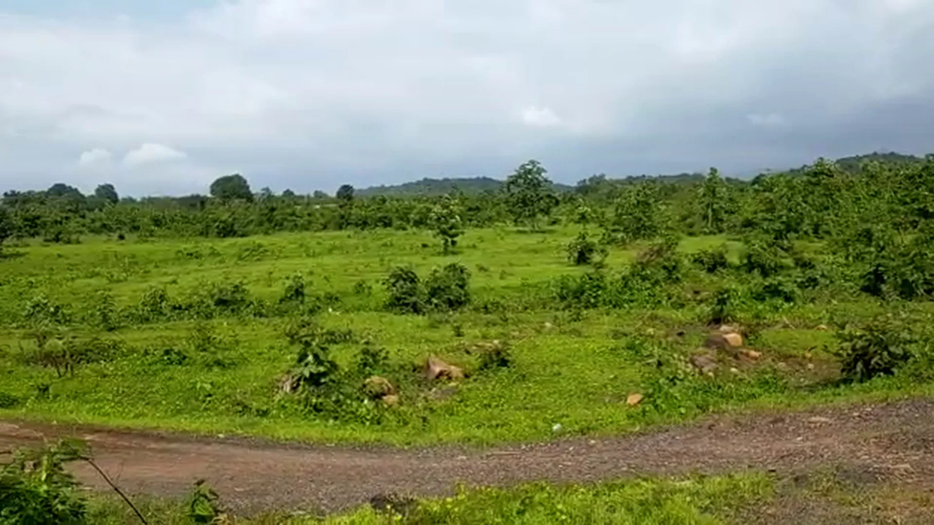 42 Acre Highway-Touch Agricultural Land