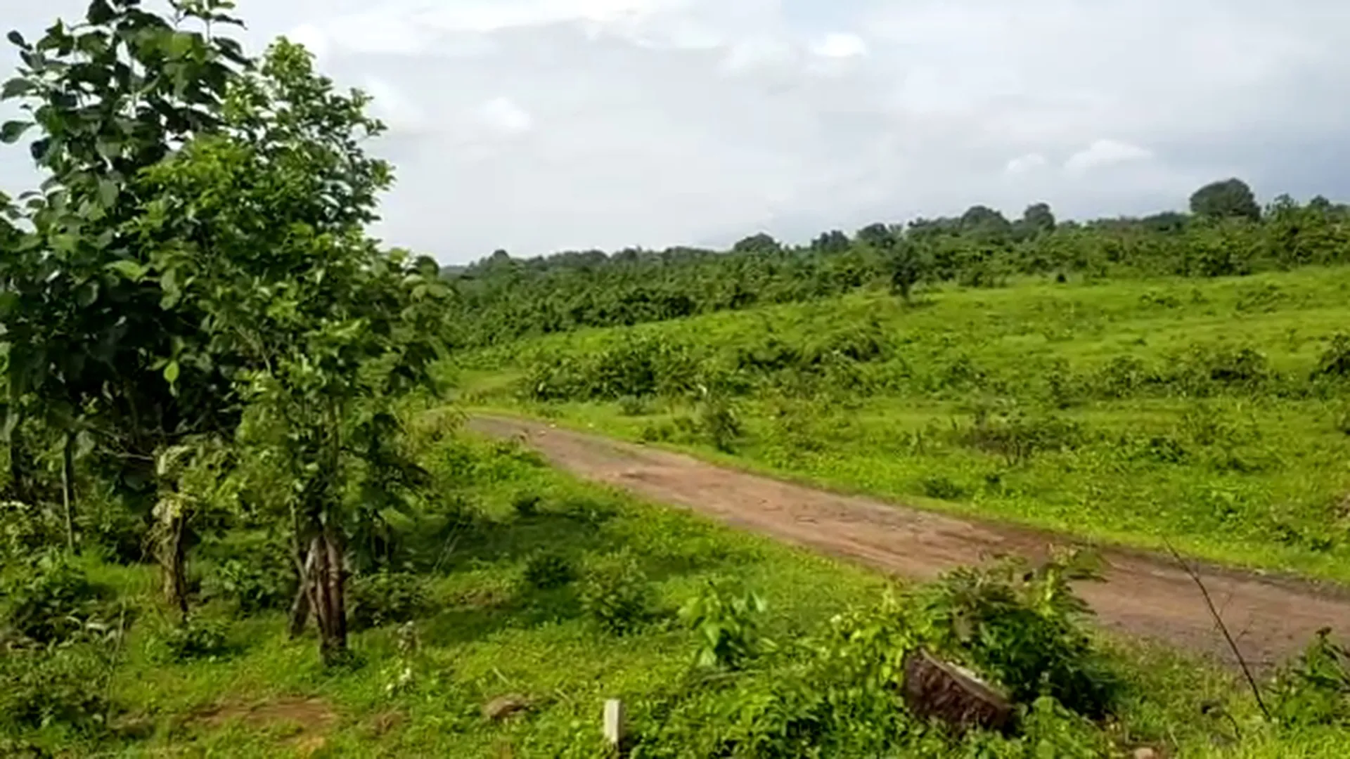 42 Acre Highway-Touch Agricultural Land