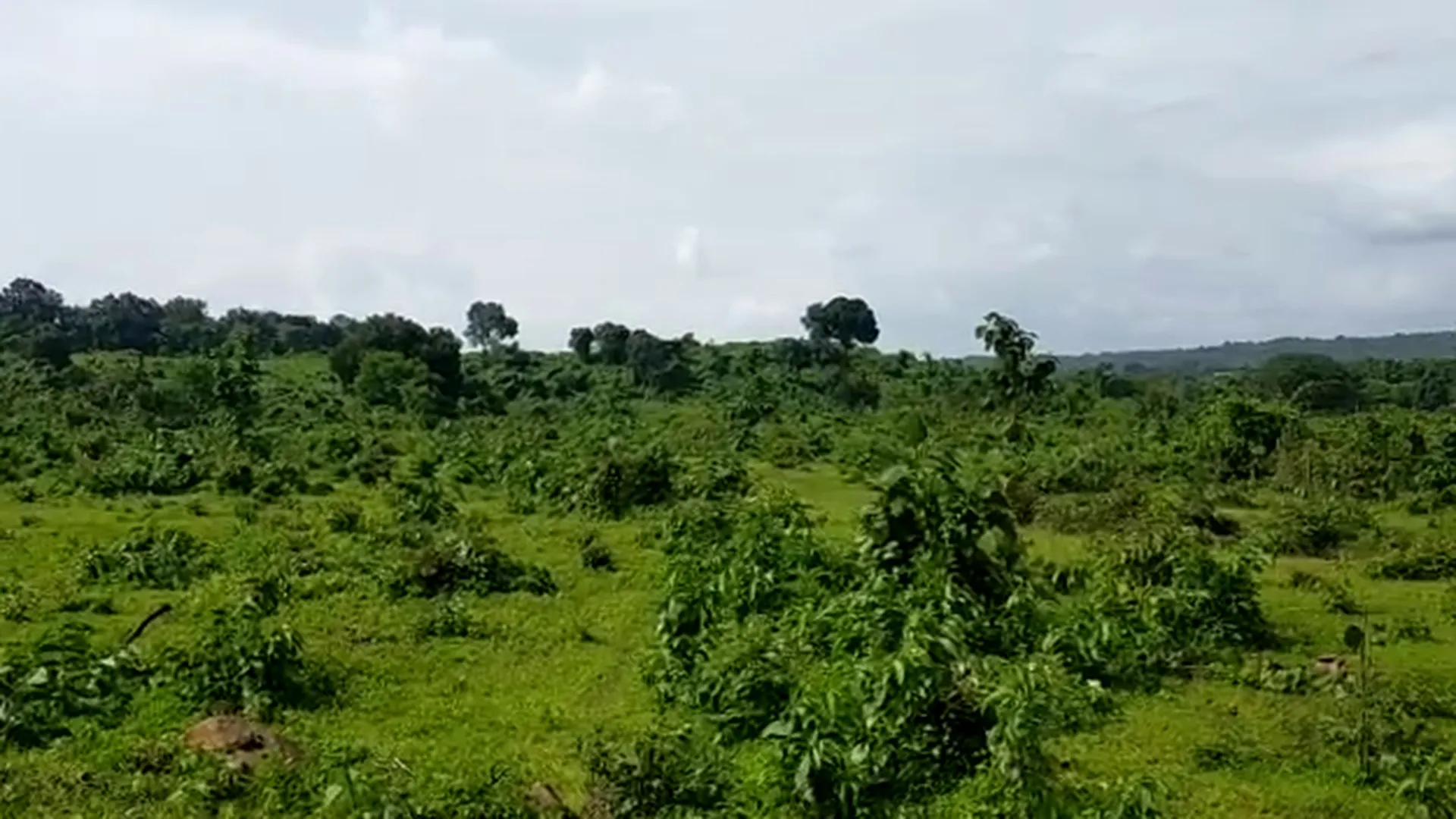 42 Acre Highway-Touch Agricultural Land