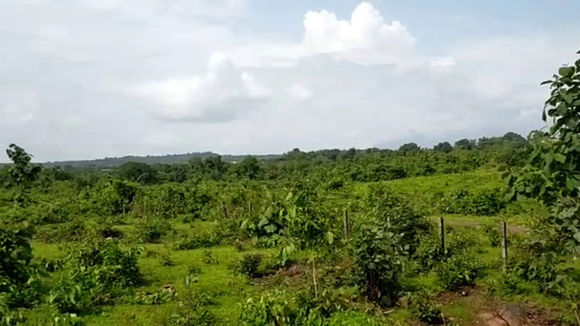 42 Acre Highway-Touch Agricultural Land