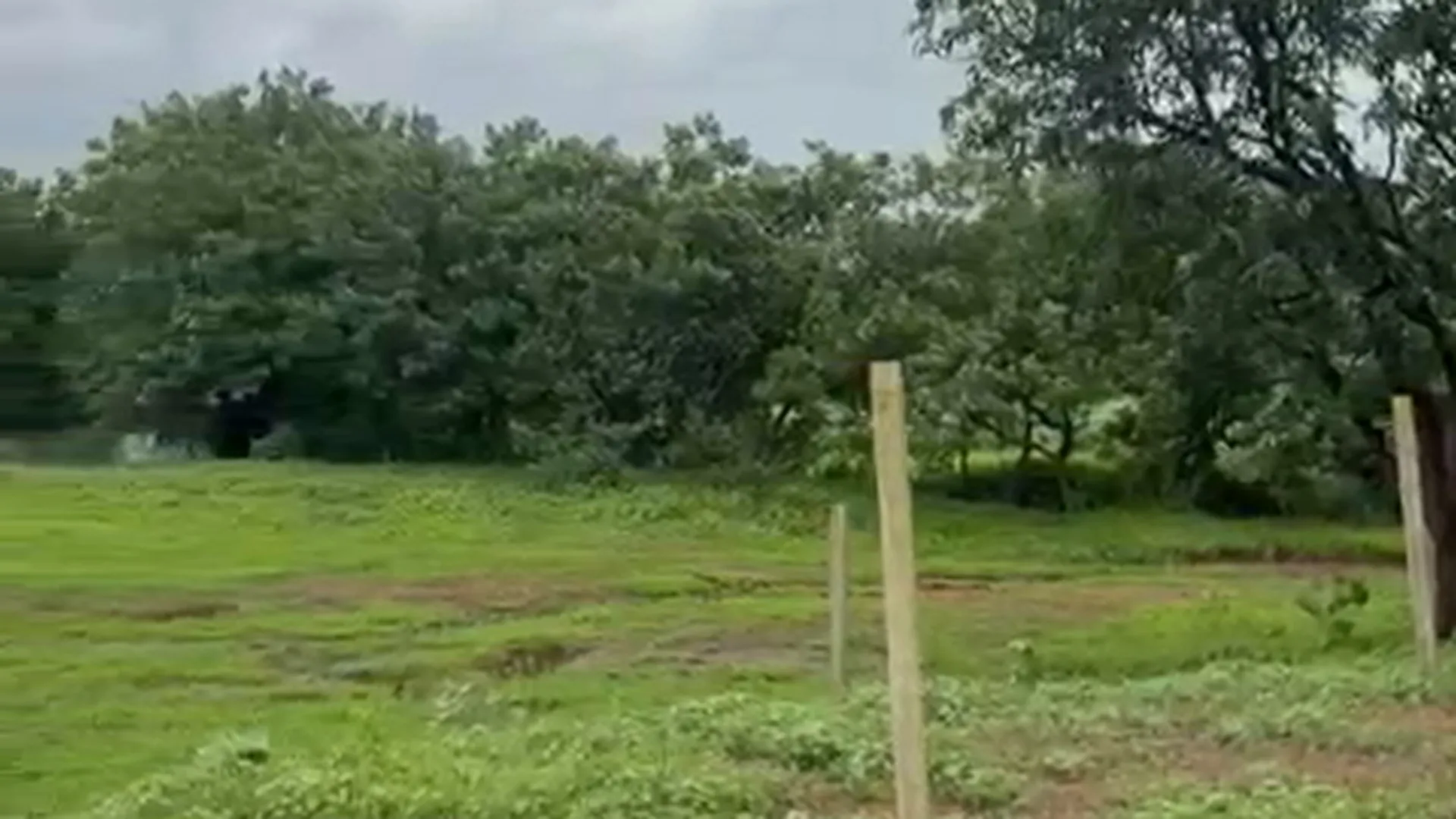 42 Guntha Agricultural Land