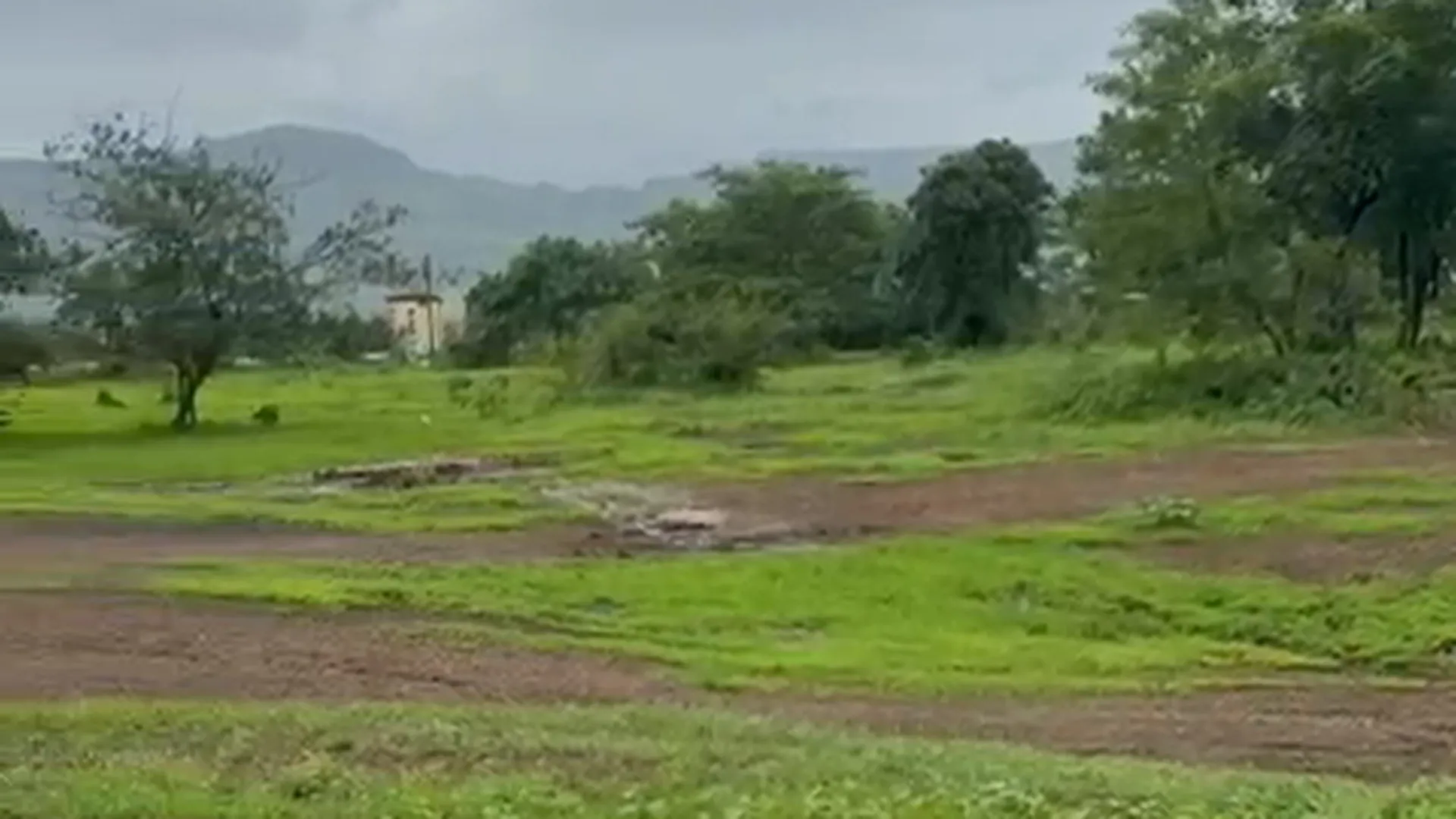 42 Guntha Agricultural Land