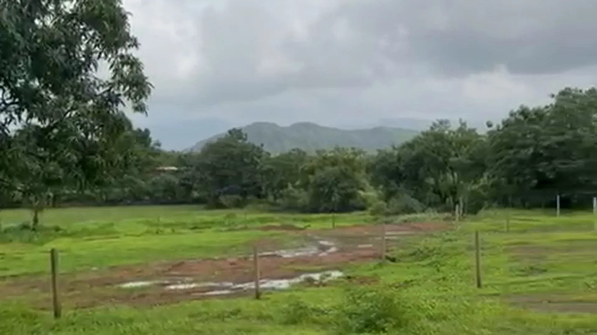 42 Guntha Agricultural Land