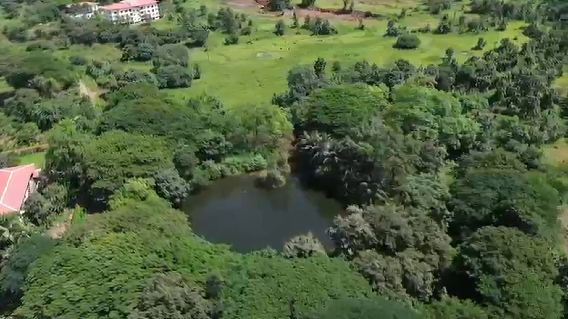 4 Acre Canal-Touch Land with Mini Pond