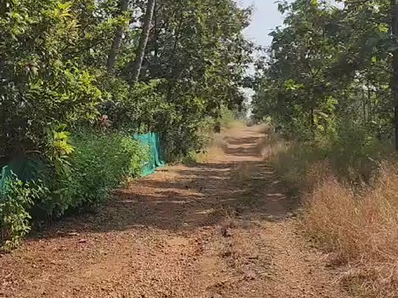 1 Acre 3 BHK Farmhouse for Sale