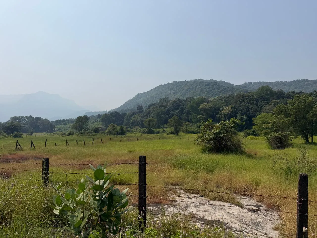 28 Acre Agricultural Land for Sale in Karjat