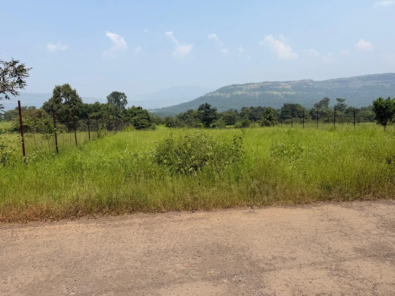 38 Guntha Agricultural Land
