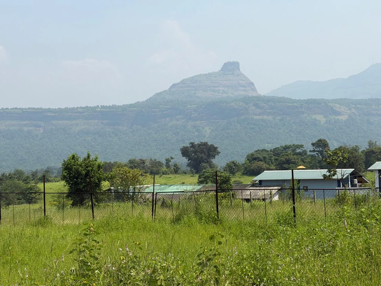 38 Guntha Agricultural Land