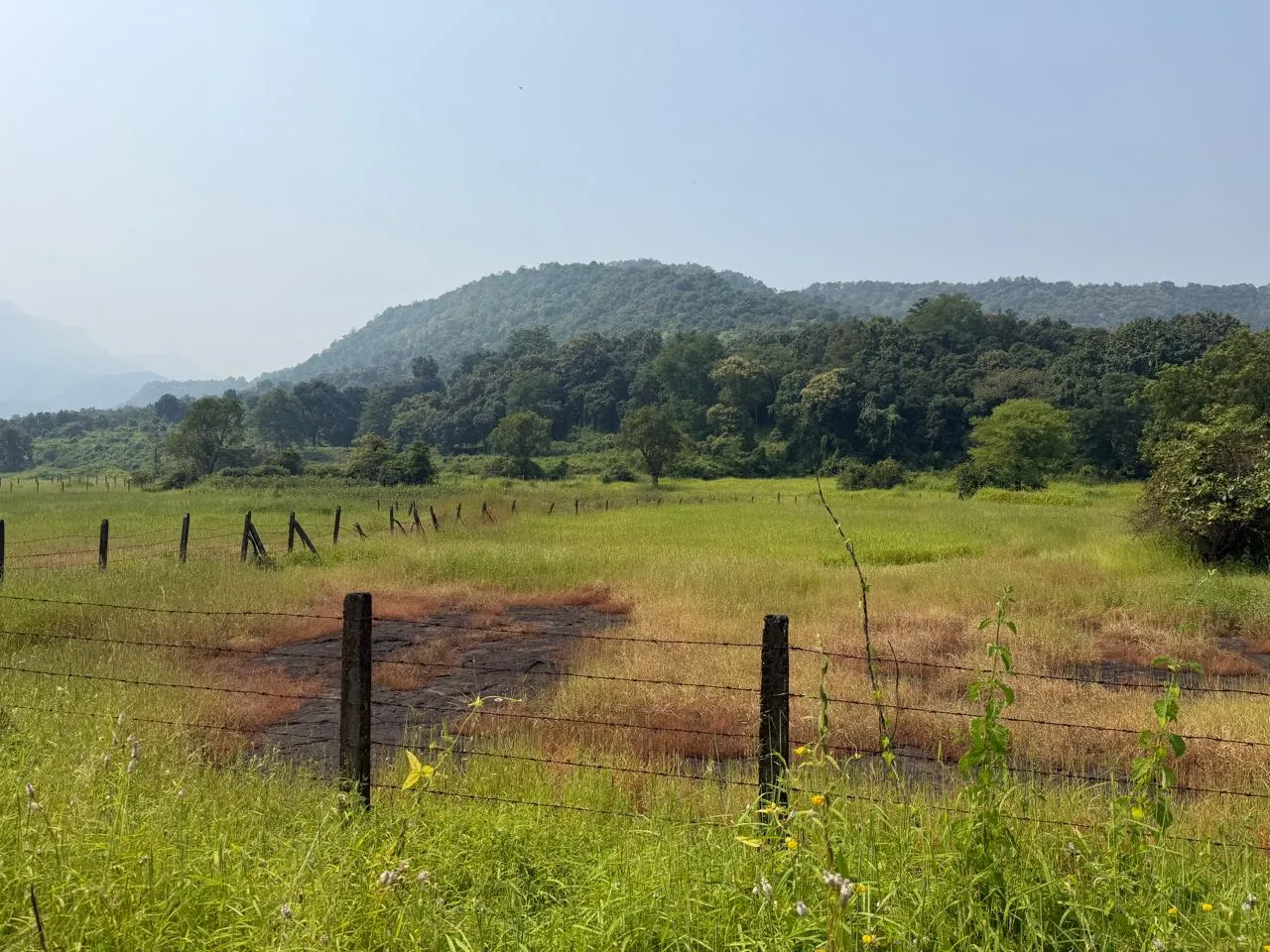 28 Acre Agricultural Land for Sale in Karjat