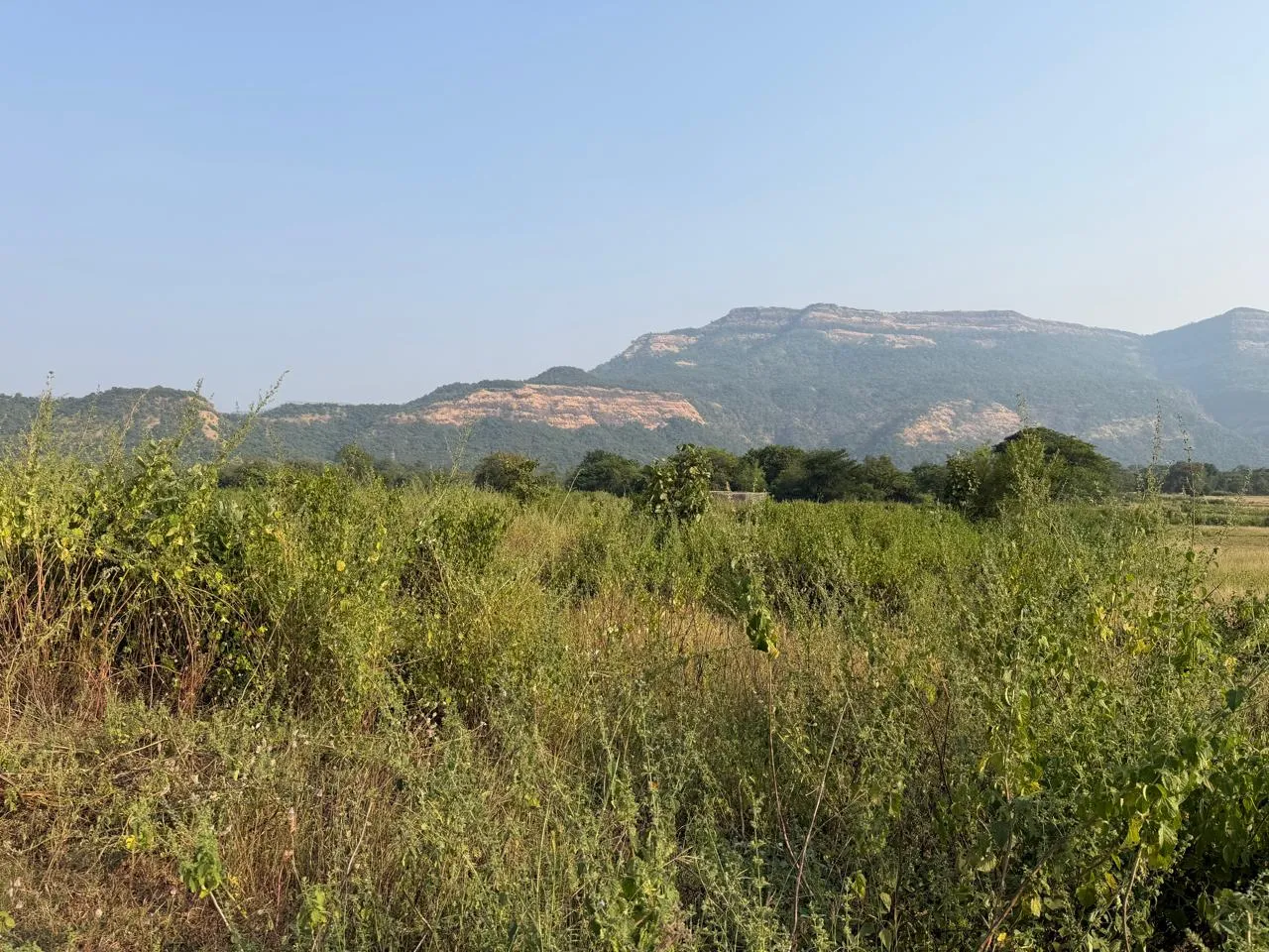 28 Acre N.A. Land for Sale with 1.0 FSI