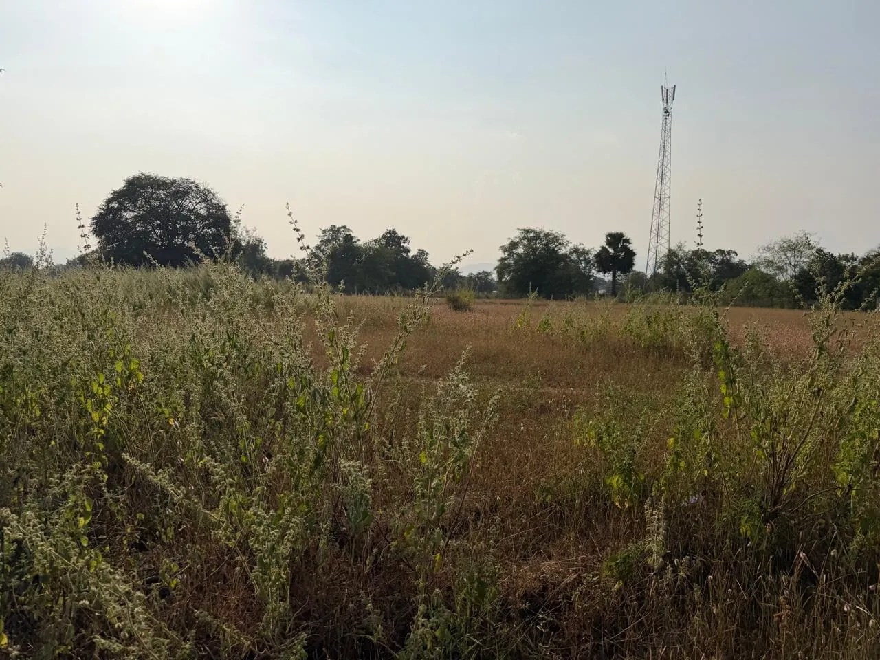 28 Acre N.A. Land for Sale with 1.0 FSI